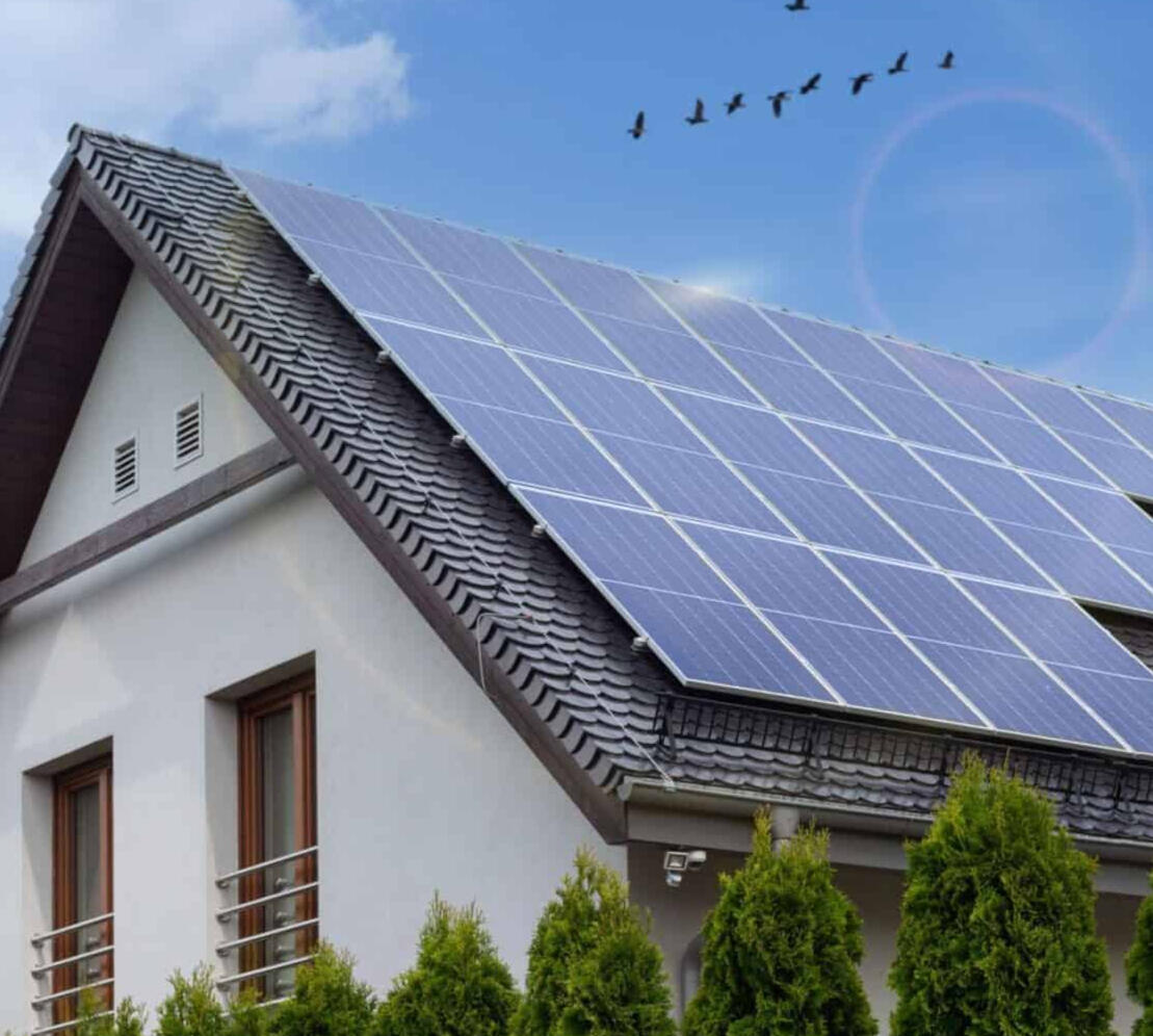 Net-Metering Check
